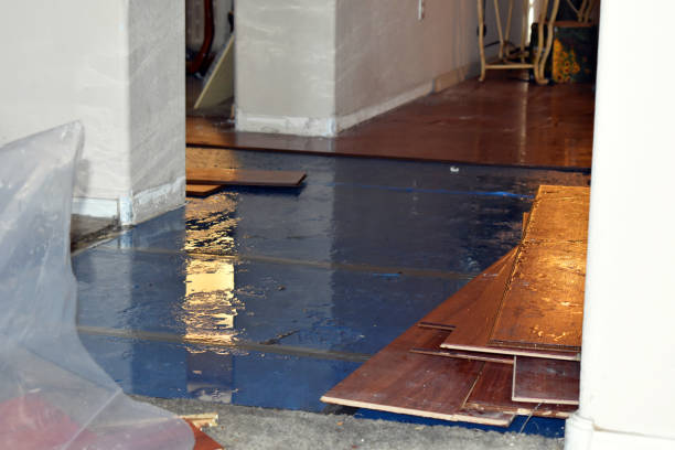 Professional Crawl Space Water Removal technician working in Applegate, MI